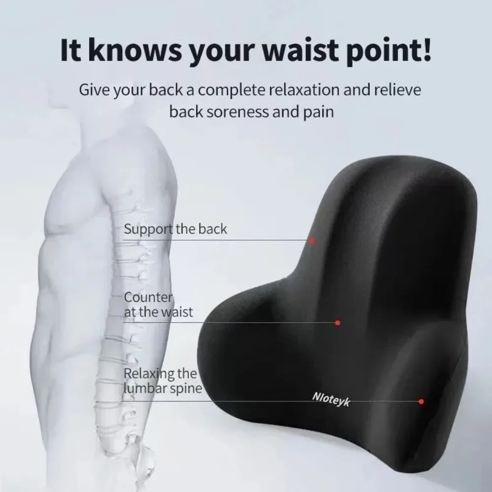 Cuscino Lombare per Auto (Lumbar Backrest Cushion):