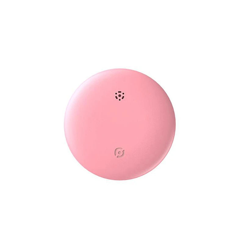 Smart GPS Locator