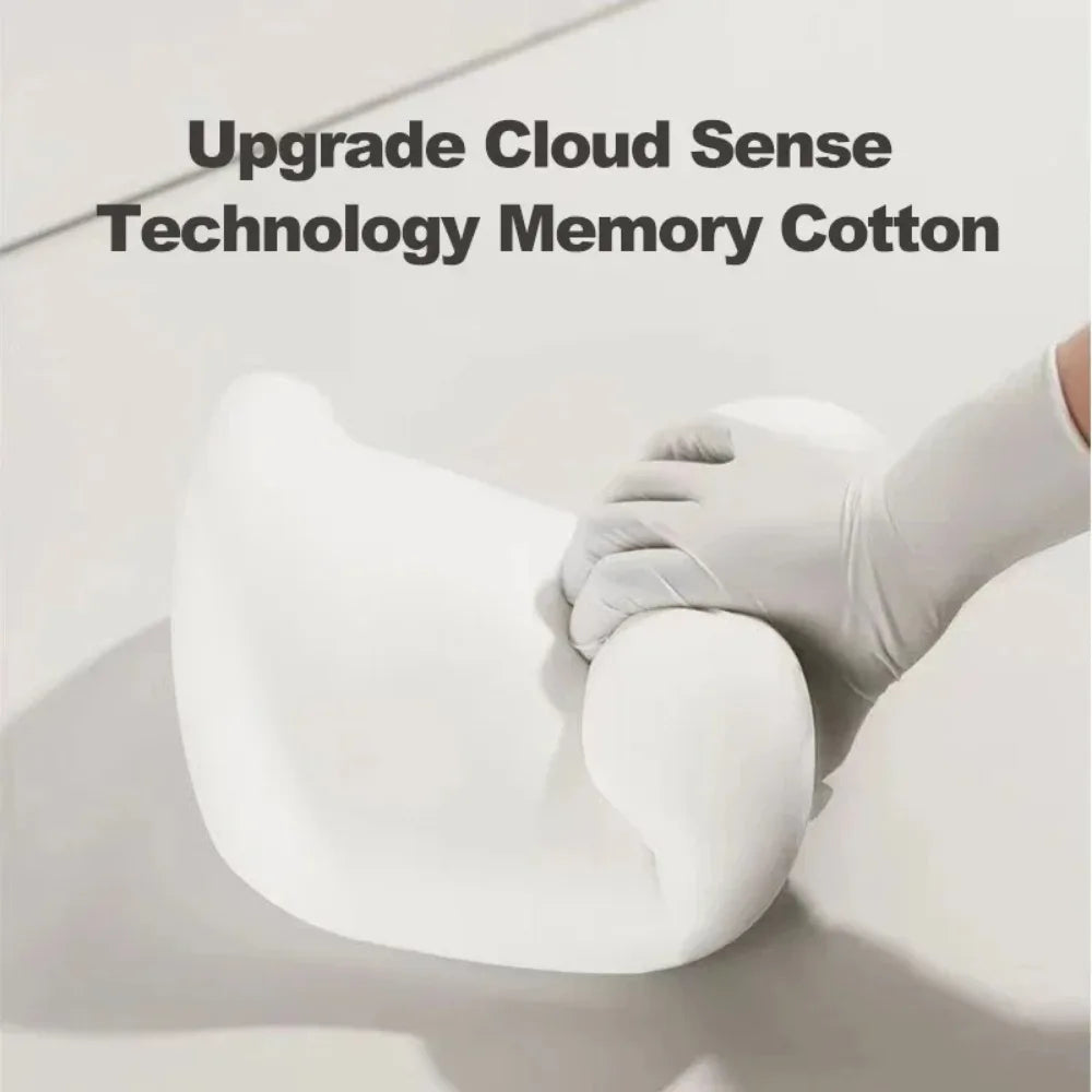 Cuscino Lombare per Auto (Lumbar Backrest Cushion):