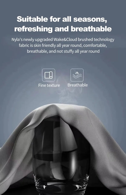 Cuscino Lombare per Auto (Lumbar Backrest Cushion):